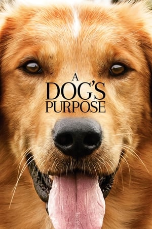 A Dog's Purpose (2017) Full Movie 850MB A Dog's Purpose (2017) Full Movie 850MB