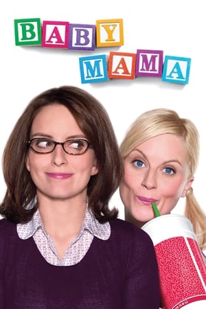 Baby Mama (2008) Hindi Dual Audio 300MB Baby Mama (2008) Hindi Dual Audio 300MB