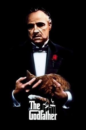 Godfather 2022 Hindi Movie DVDScr – Godfather 2022 Hindi Movie DVDScr –
