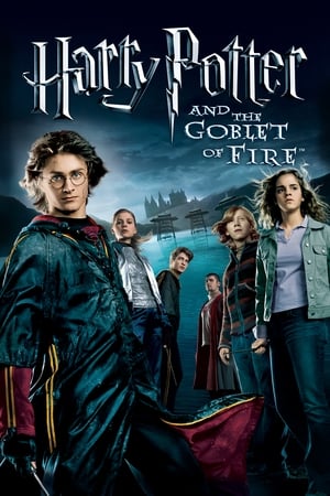 Harry Potter and the Goblet of Fire 2005 Hindi Dual Audio Harry Potter and the Goblet of Fire 2005 Hindi Dual Audio