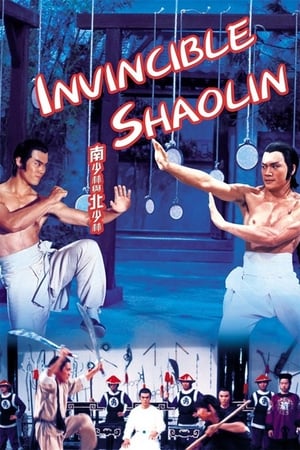 Invincible Shaolin 1978 Hindi Dual Audio 300MB Invincible Shaolin 1978 Hindi Dual Audio 300MB