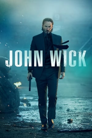 John wick 2014 100mb Hindi Dual Audio movie Download John wick 2014 100mb Hindi Dual Audio movie Download