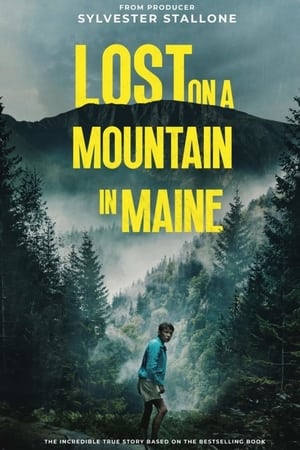 Lost on a Mountain in Maine 2024 Hindi Subbed Lost on a Mountain in Maine 2024 Hindi Subbed