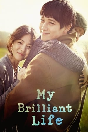 My Brilliant Life (2014) Hindi Dual Audio – 720p – My Brilliant Life (2014) Hindi Dual Audio – 720p –