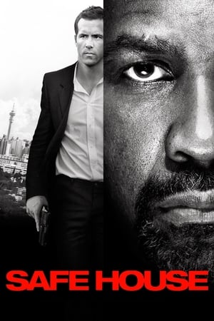 Safe House (2012) Hindi Dual Audio – Safe House (2012) Hindi Dual Audio –