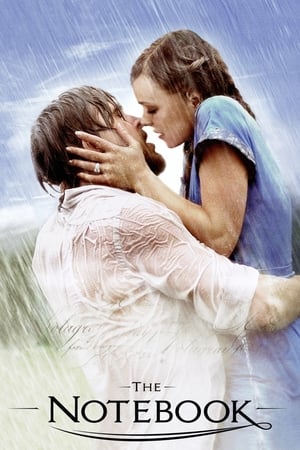 The Notebook 2004 Dual Audio Hindi 400MB The Notebook 2004 Dual Audio Hindi 400MB