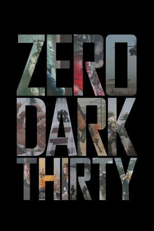 Zero Dark Thirty 2012 Hindi Dual Audio 450MB Zero Dark Thirty 2012 Hindi Dual Audio 450MB